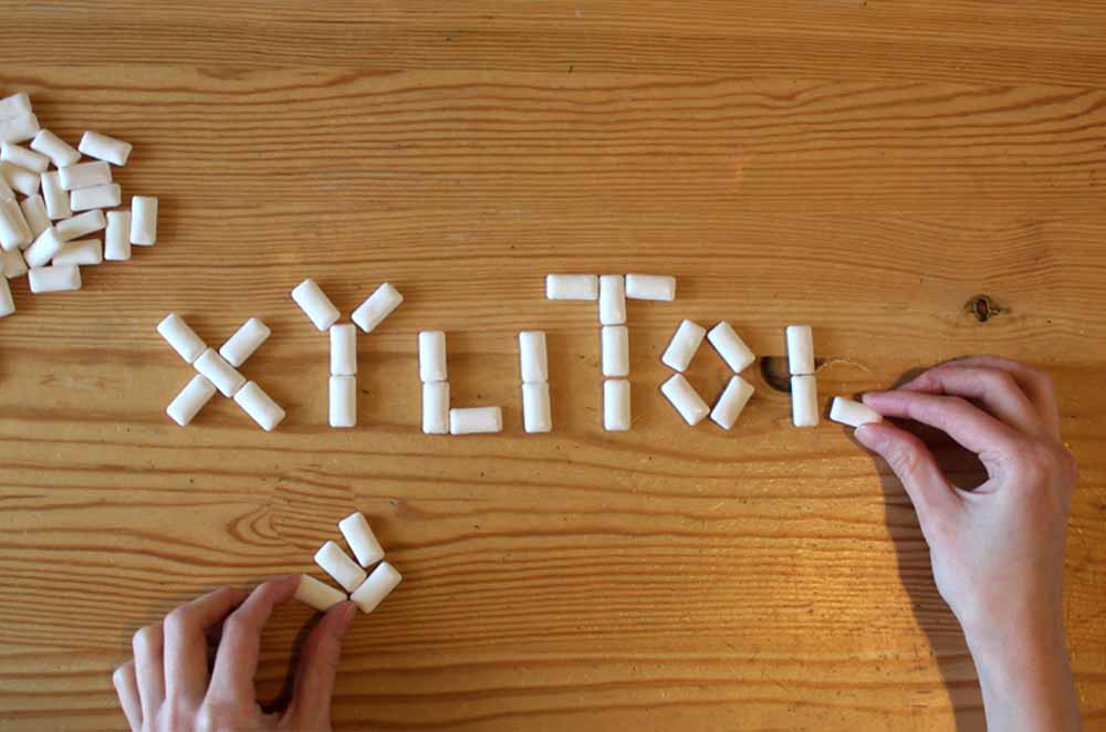 Everything-you-need-to-know-about-xylitol